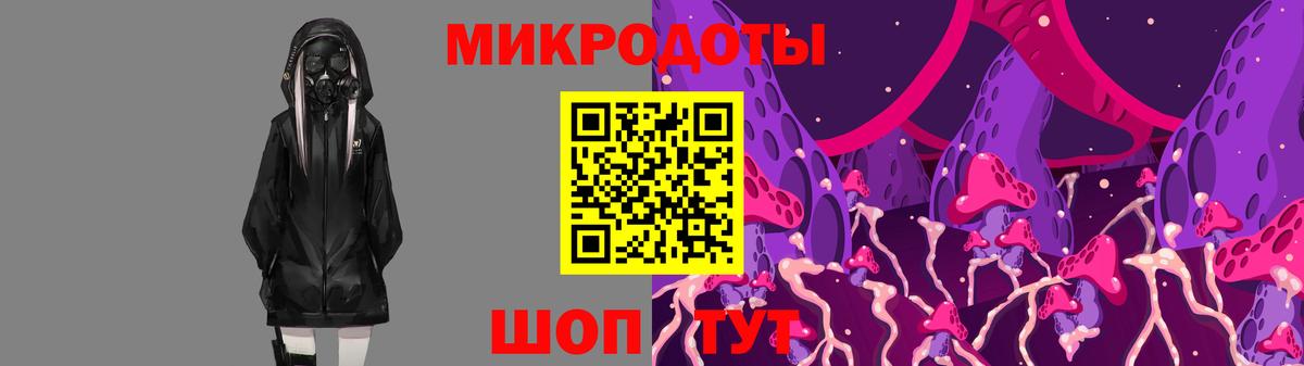 Псилоцибиновые грибы Psilocybe Прокопьевск